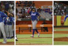Alcántara, Hernández y Valdez lideran victoria del Licey sobre los Toros