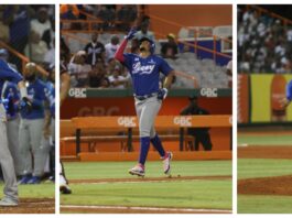 Alcántara, Hernández y Valdez lideran victoria del Licey sobre los Toros