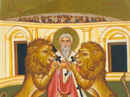 San Ignacio de Antioquia. Obispo y Padre Apostólico. PMAGS. Homilía Santa Misa 17/10/24.