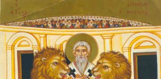 San Ignacio de Antioquia. Obispo y Padre Apostólico. PMAGS. Homilía Santa Misa 17/10/24.