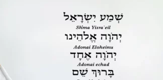 Domingo XXXI TO Año B. PMAGS. Homilía Santa Misa.  3/11/24.