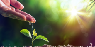 Martes XXX TO Año II PMAGS.Homilía Santa Misa. 29/10/24