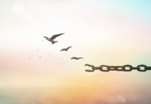 Viernes XXIX TO II. PMAGS. Homilía Misa. 25/10/24