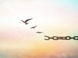 Viernes XXIX TO II. PMAGS. Homilía Misa. 25/10/24