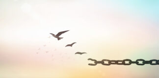 Viernes XXIX TO II. PMAGS. Homilía Misa. 25/10/24