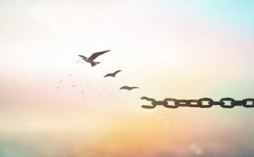 Viernes XXIX TO II. PMAGS. Homilía Misa. 25/10/24