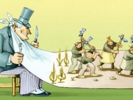 Lunes XXIX TO II. PMAGS. Homilía Misa. 21/10/24.