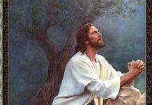 Miércoles de San José XXVII TO Año B. PMAGS. Homilía de la Misa 9/10/24.