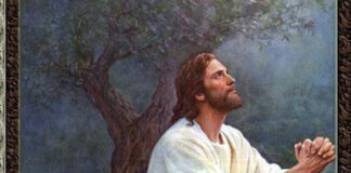 Miércoles de San José XXVII TO Año B. PMAGS. Homilía de la Misa 9/10/24.