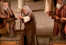 Domingo XXXII TO Año B. PMAGS. Homilía Santa Misa 10/11/24.