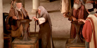 Domingo XXXII TO Año B. PMAGS. Homilía Santa Misa 10/11/24.