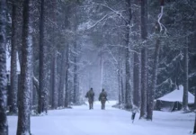 Los países nórdicos actualizan sus consejos de preparación para la crisis