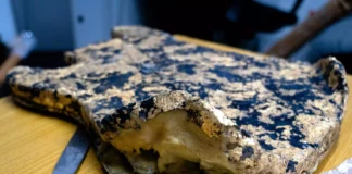 Decomisan guitarra con cocaína oculta; sería enviada a España