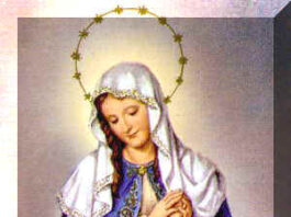 Nstra Sra de la Divina Providencia. PMAGS. Homilía Santa Misa 19/11/24. Aniversario XXVIII Primera Misa.