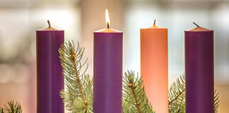 I Domingo Adviento. Inicio Año Litúrgico C. PMAGS. Homilia Santa Misa. 1/12/24.