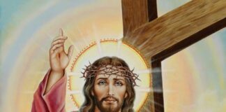 Cristo Rey. Cierre Año B. PMAGS. Homilía Santa Misa 24/11/24.