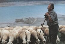 Jueves Eucarístico XXXI TO. II PMAGS. Homilía Santa Misa 7/11/24.