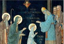 Presentación de la Virgen María. PMAGS. Homilía Santa Misa. 21/11/24.