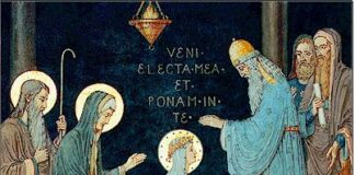 Presentación de la Virgen María. PMAGS. Homilía Santa Misa. 21/11/24.