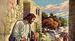 Miércoles San José XXXII  TO Año II. PMAGS. Homilía Santa Misa. 13/11/24.