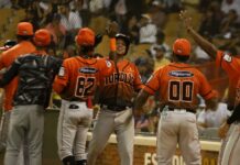 Barría, Lantigua y Rumfield guían triunfo de los Toros sobre las Águilas