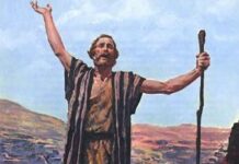 II Domingo de Adviento C PMAGS. Homilía. Santa Misa. 8/12/24