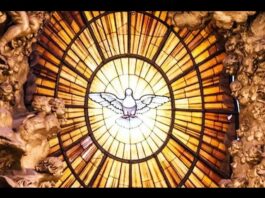 San Dámaso I, Papa PMAGS. Homilía Santa Misa 11/12/24.