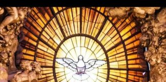 San Dámaso I, Papa PMAGS. Homilía Santa Misa 11/12/24.