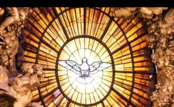 San Dámaso I, Papa PMAGS. Homilía Santa Misa 11/12/24.