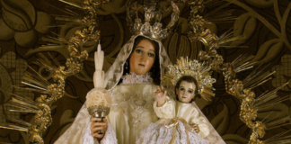 Virgen de la Candelaria. Homilía Santa Misa. PMAGS. 2/2/25. Cumpleaños de mi madre, Sra. Isaura Candelaria Altagracia Salcedo de García.