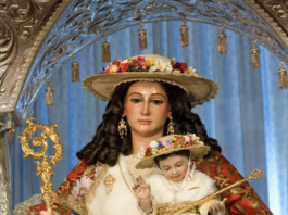 Divina Pastora. Novena Altagracia. Homilía Santa Misa. PMAGS 14/1/25