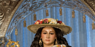 Divina Pastora. Novena Altagracia. Homilía Santa Misa. PMAGS 14/1/25