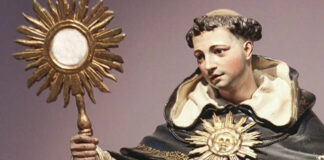 Santo Tomás de Aquino. Homilía Santa Misa. PMAGS. 28/1/25