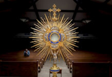 Feria, Jueves, después de la Epifanía. Homilía Santa Misa. PMAGS. 9/1/25