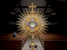 Feria, Jueves, después de la Epifanía. Homilía Santa Misa. PMAGS. 9/1/25