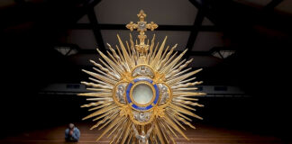 Feria, Jueves, después de la Epifanía. Homilía Santa Misa. PMAGS. 9/1/25