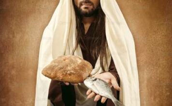 Martes VI TO (I) PMAGS 18/2/25