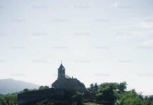 Domingo VII TO (C) 3ª s PMAGS 23/2/24