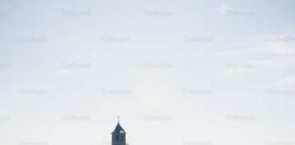 Domingo VII TO (C) 3ª s PMAGS 23/2/24