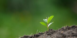 Lunes, VII TO, (I) 3ª s. PMAGS 24/2/25