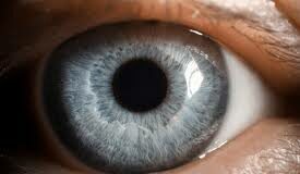 Miércoles VI TO (I) PMAGS 19/2/25