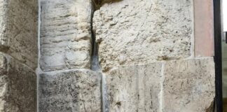 Lunes VIII TO (I) PMAGS 3/3/25