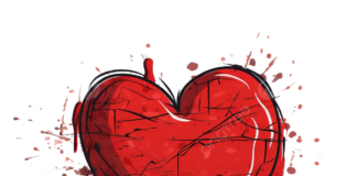 Miércoles V TO (Año I) 1ª sem PMAGS 12/2/25