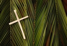 Domingo de la Pasión del Señor o de Ramos PMAGS 13/4/25