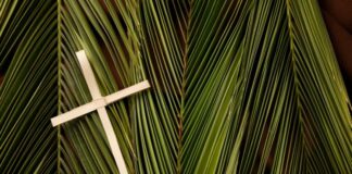 Domingo de la Pasión del Señor o de Ramos PMAGS 13/4/25