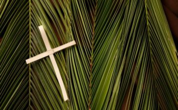 Domingo de la Pasión del Señor o de Ramos PMAGS 13/4/25