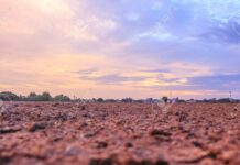 Martes V Cuaresma PMAGS 8/4/25