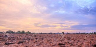 Martes V Cuaresma PMAGS 8/4/25