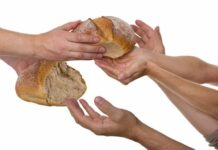 Domingo Divina Misericordia Conclusión 8va de Pascua 27/4/25