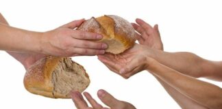 Domingo Divina Misericordia Conclusión 8va de Pascua 27/4/25